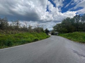Imagen Guísamo